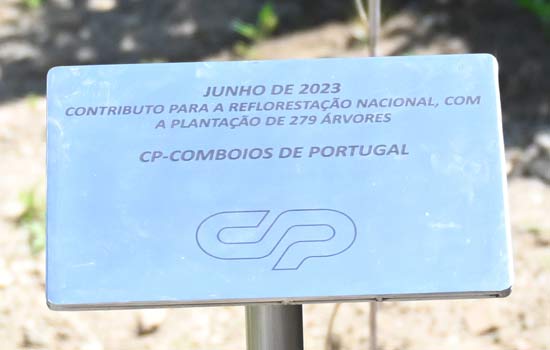 CP celebra o Dia Mundial do Ambiente